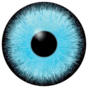 Search Equipment